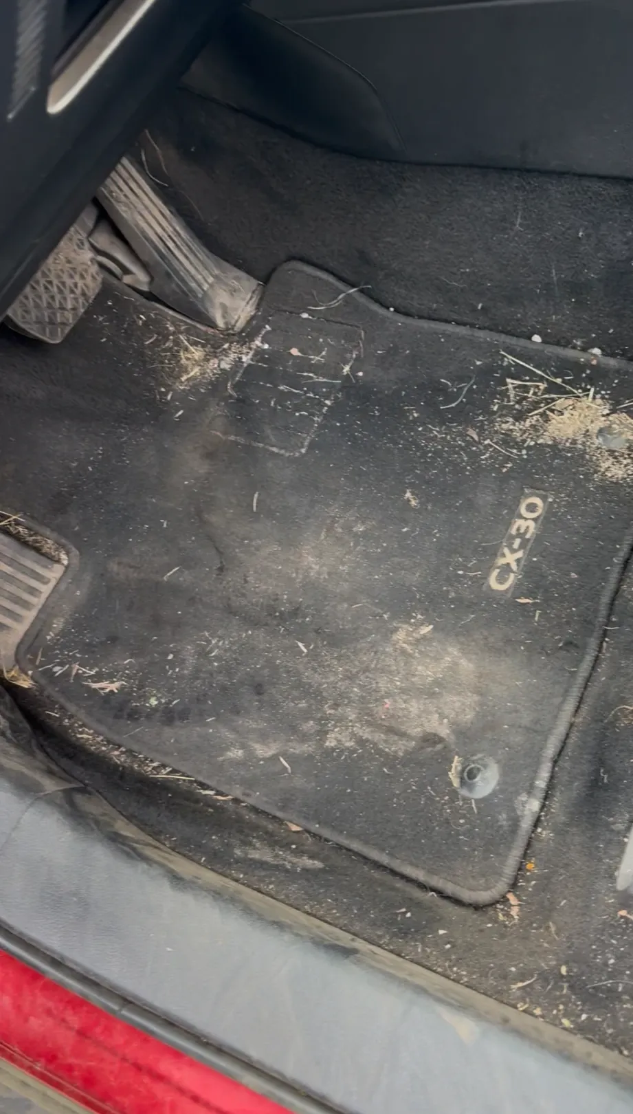 Vehicle interior before detailing